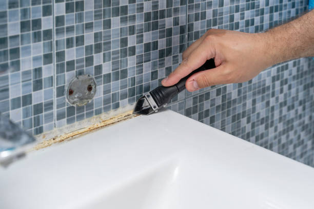 Reliable Harrington Park, NJ Mold Remediation Solutions